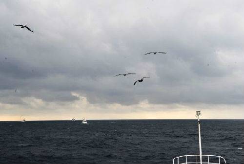 这是中国海监137船在钓鱼岛毗连区海域巡航 新华社记者张建松摄