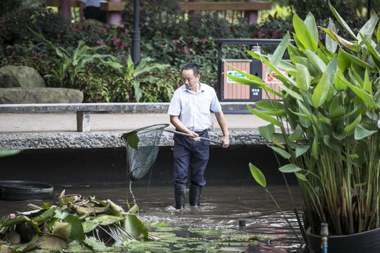 2015��9��15�գ���������԰�ڣ��������ڰ����ֳ������ĺɻ����ڴ�����֤�����н�һ���Ŀ��졣�㱨���߳�������