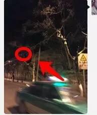 ������İ����ֳ�