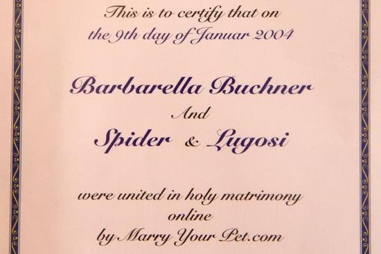 ��2004��,Barbarella�����޸��Լ��ľ�����¡���è�䡣������һ����վ,����վ����������ͳ�������Ҫ���ص�����,һ���������Բ�֧��һ�����ú�,����վ�ͻ�Ϊ����ͳ�����н����ʽ��Barbarella�ԡ��ɷ򡱷ǳ���,è���ǳԵ�ʳ������Լ��ԵĻ��á�