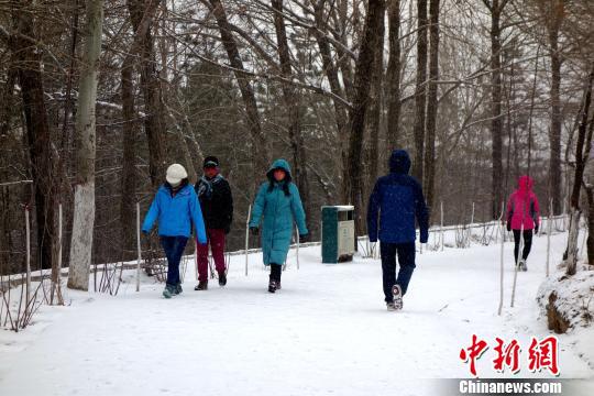 ͼΪ��������ѩ�г������������