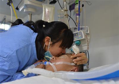 ��ɭ�ص������Ǳ���ӡ�  �ɶ��̱� ͼ