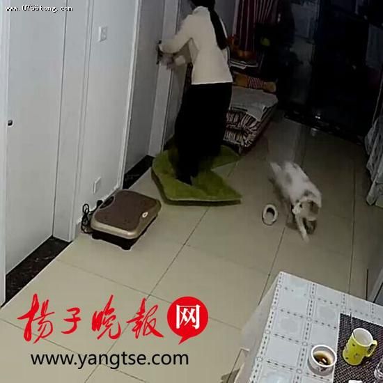 ���ӽ�Ů�Ӱ���ɳ����
