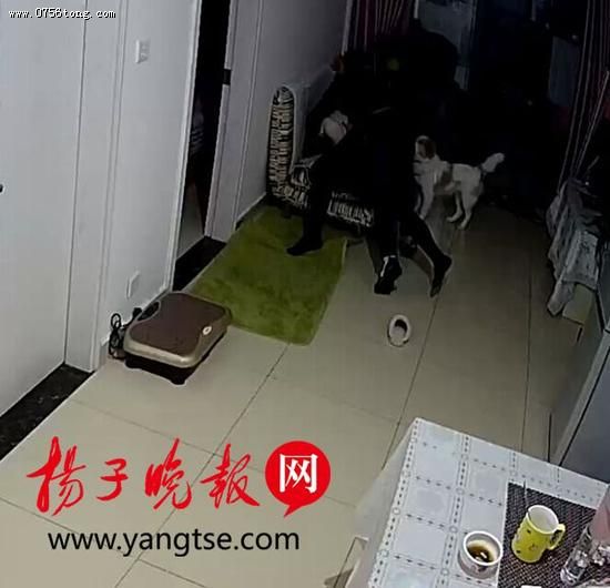 Ů���뽫�ŷ���