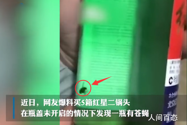 红星二锅头回应酒里泡苍蝇 为假冒伪劣产品并非红星公司生产