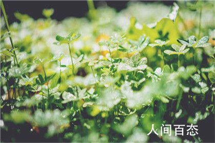 天生有神仙跟着的人有什么特征 有仙骨吗