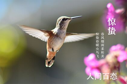 惊蛰节气的特点和风俗有哪些 惊蛰时期农事介绍