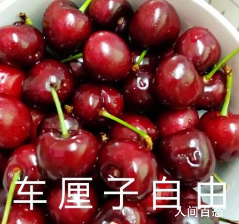 ͳƾ̸ַ Ӽ۸ն