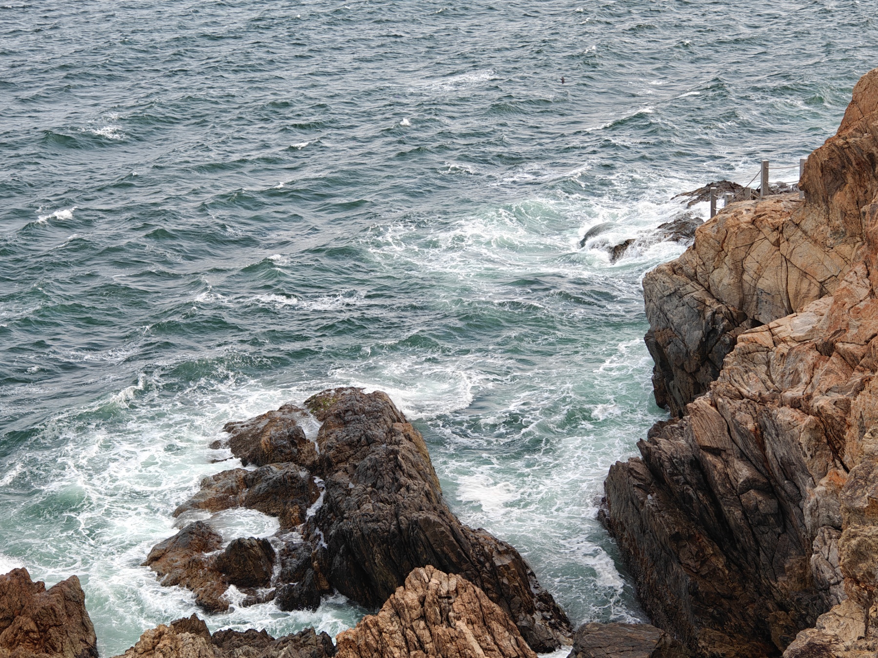 �������굺��⡣������ ���ŵ���