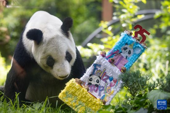 629գī׶īǲ˶԰è׼յ⡣» ܰ 