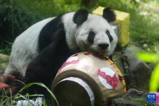 629ī׶īǲ˶԰Ĵè»緢˹ơ㣩