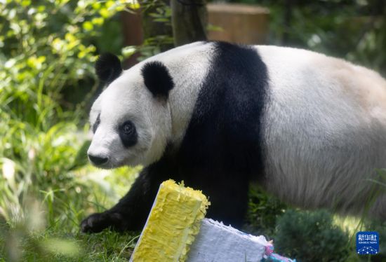 629ī׶īǲ˶԰Ĵè» ܰ 