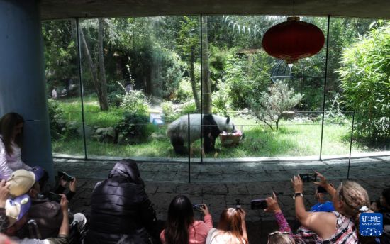 629գī׶īǲ˶԰μӴèף»緢˹ơ㣩