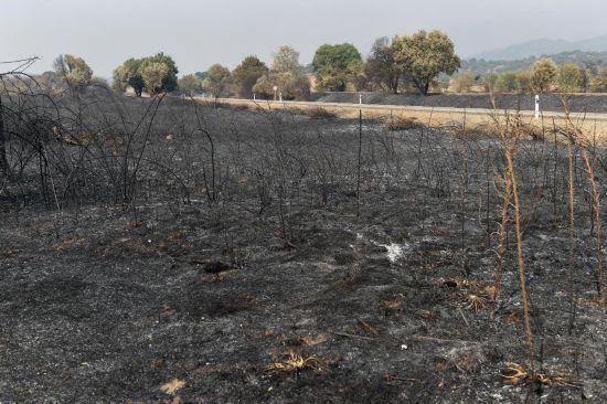 818˹ʡıջٵء»緢˹֡㣩