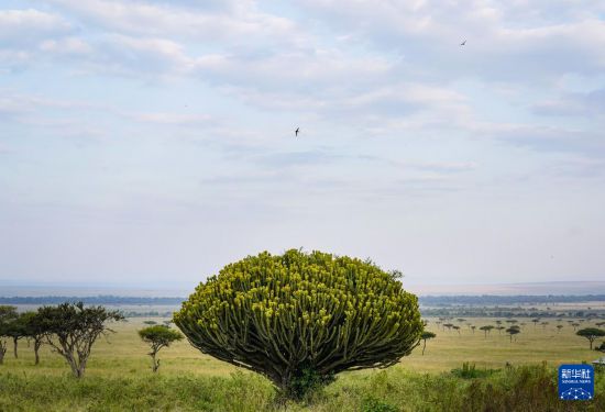 ��������7��30������Ŀ����������������ұ�����һ�硣�»������ ���� ��