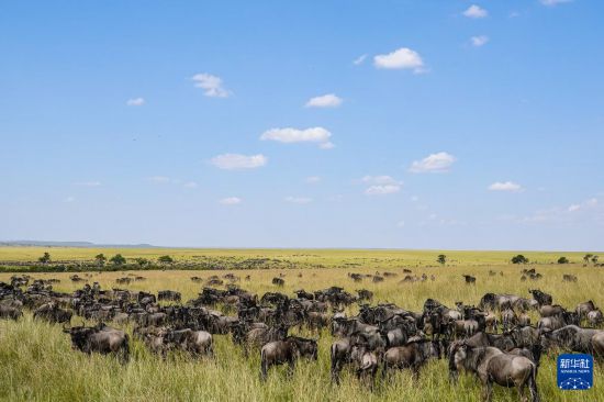 ����7��31�գ��ڿ����������������ұ���������Ⱥ�Ľ����ڲ�ԭ����ʳ���»������ ���� ��