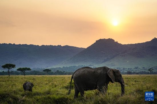 ����7��29�գ��ڿ����������������ұ�����������������ʱ�ֵĲ�ԭ�ϻ���»������ ���� ��