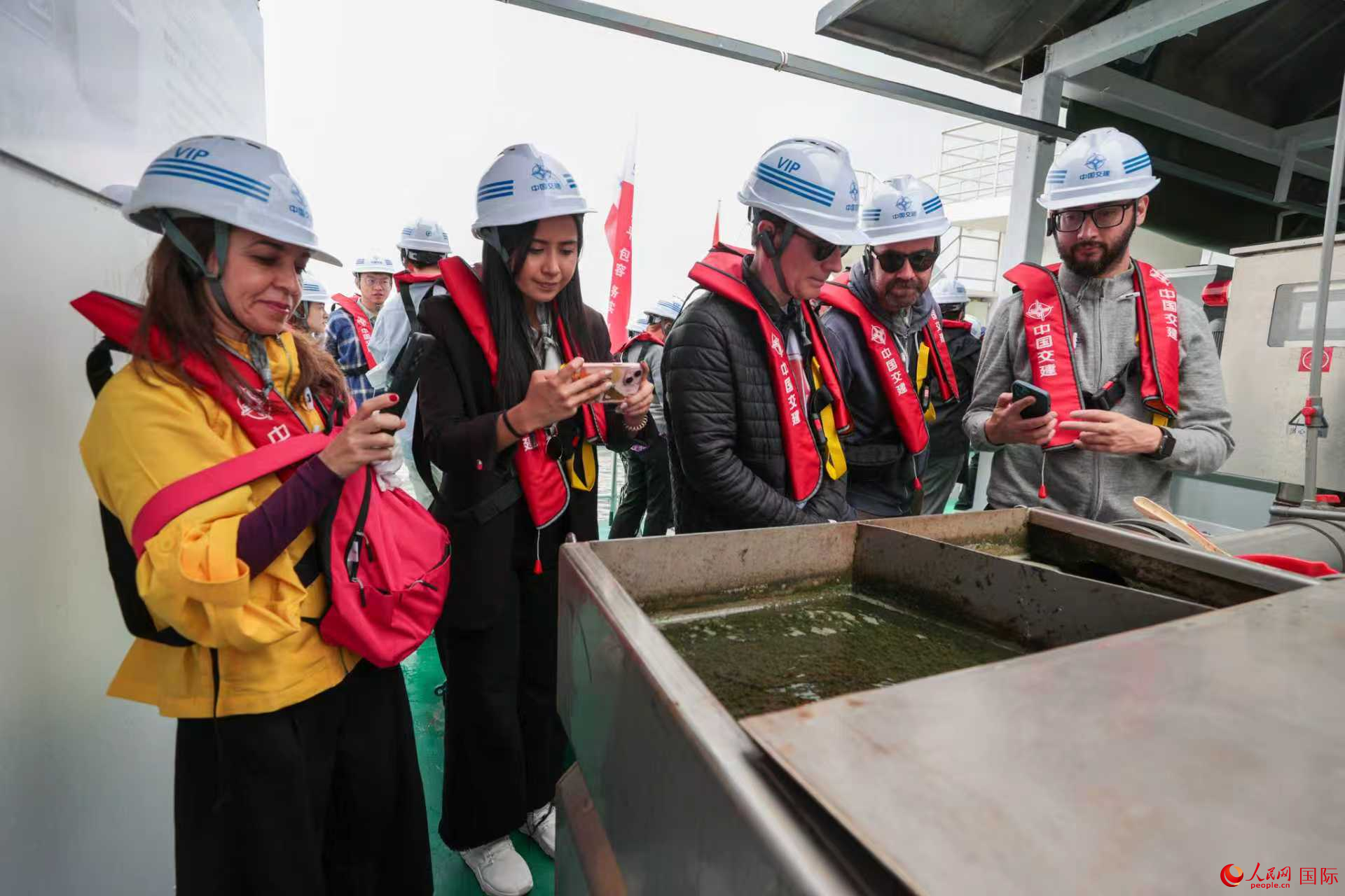 2025һһ·ý̳ýϲɷнΪƵġˮΡһ廯ƽ̨ɷõС 