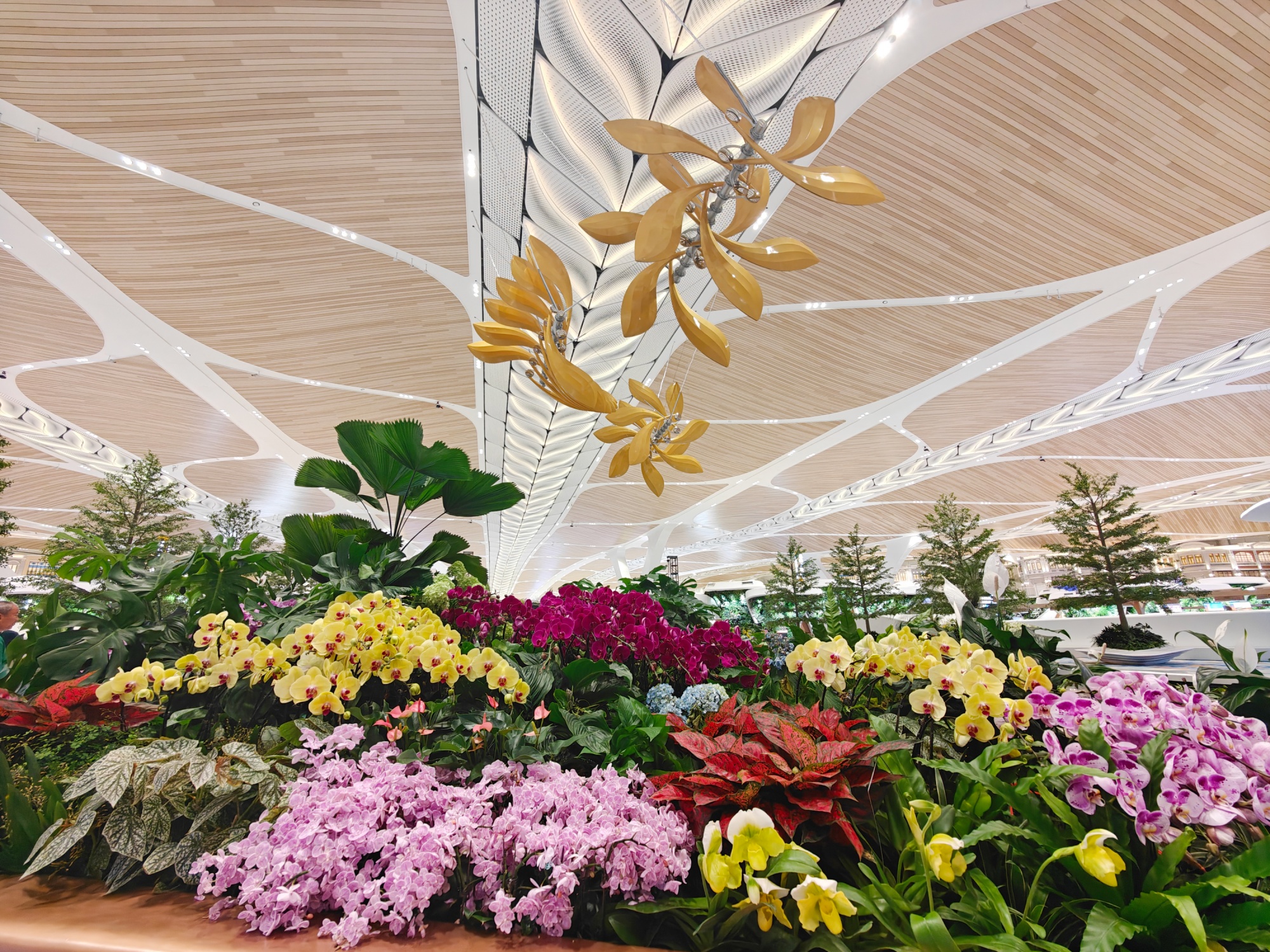 T3վ¥ԡǡǻڡΪ⡣ ŵ