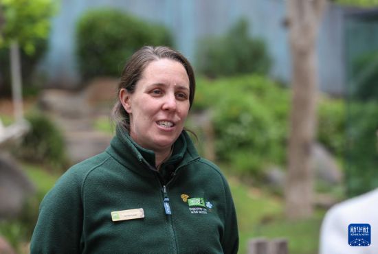 ����11��10�գ��ڰĴ����ǰ������£��������¶���԰����è����Ա����櫡����ֵ½����»���ɷá��»������ ��ƽ ��