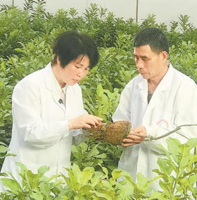  ����ɳ��������վվ���������������ڽ���ɳ�����޲��緱������������ũҵũ��ֹ�ͼ