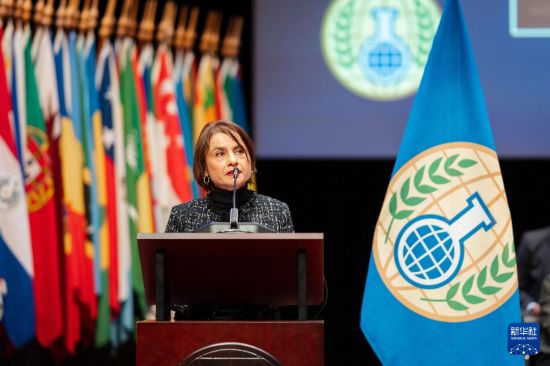 11月27日,在荷兰海牙,达拉菲奥尔被任命为禁化武组织总干事后发言。新华社发(禁化武组织供图)