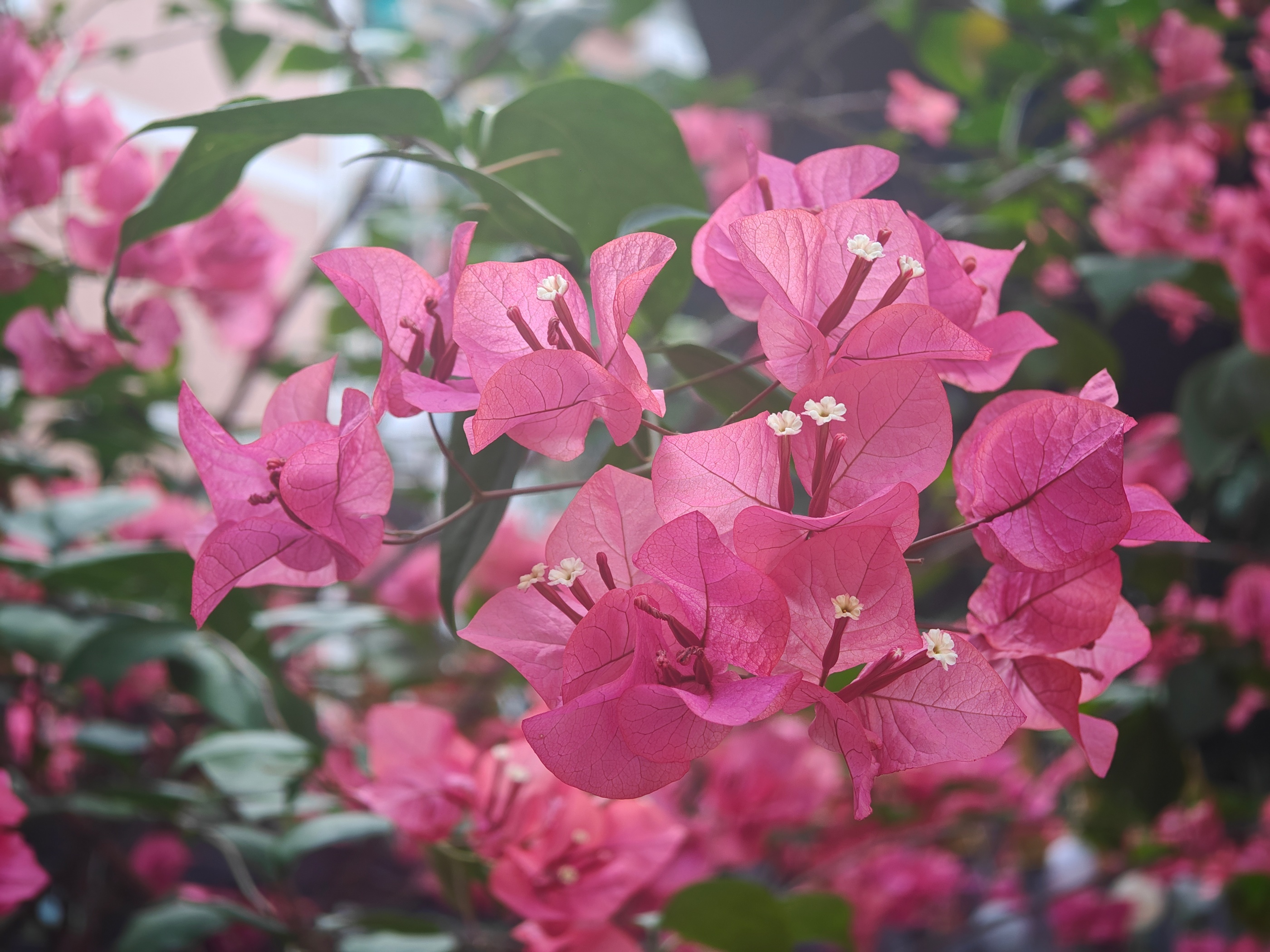 ů���£�����÷���޶��ˡ����������� ���ŵ���