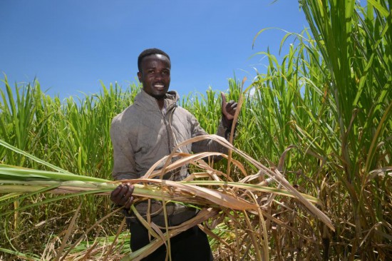 ����2025��10��14�գ��ڿ����������ɿ�³���������ھ�����ֲ԰���ո���ݡ��»������ ��� ��