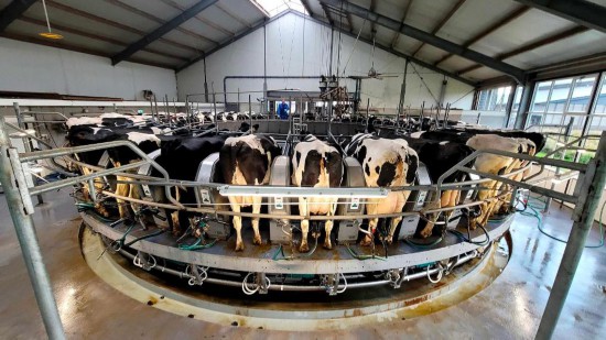 2025��9��30�գ��ں��������ǵ��ߺ�������ѧ���о�������ҵ԰����ţվ���Զ�������ת���ϡ��»���������潭��