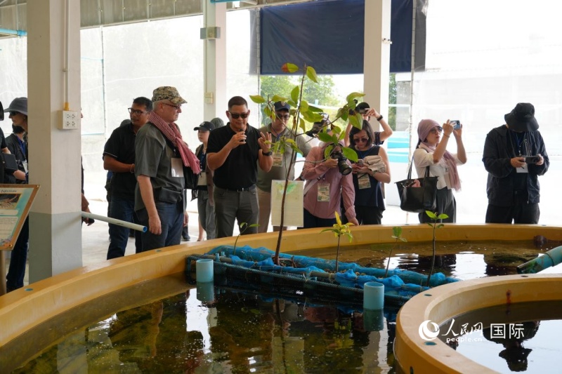 ���ý����߲ι۰����ػʼҺ�����ֳʾ�����ء����������� ���Ԩ��