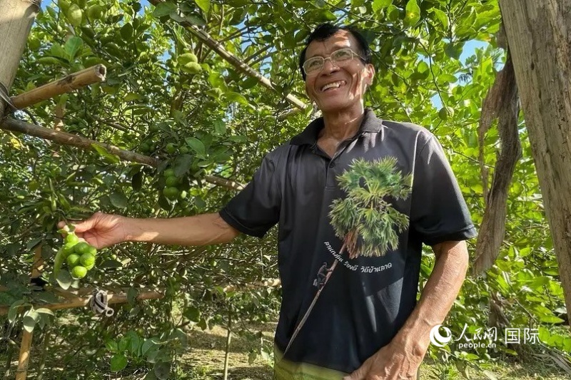 �����ǽ����Լ�԰����������������������� ���Ԩ��