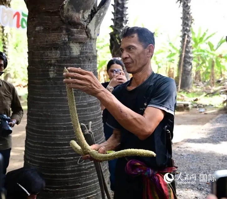 ����ķ���������ý����߽�����θȡ֭������������ ���Ԩ��