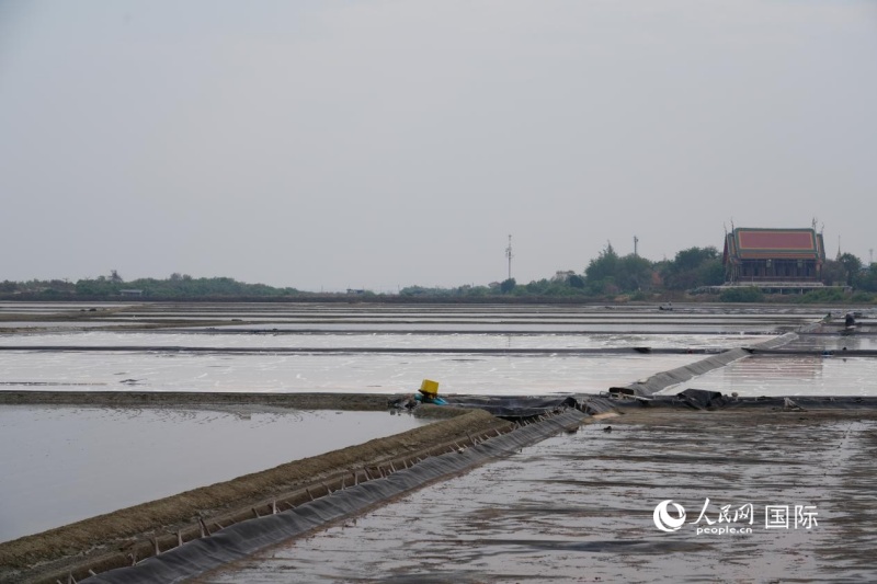 ̩�������︮�����ػʼ�ʾ������ũ�������������� ���Ԩ��