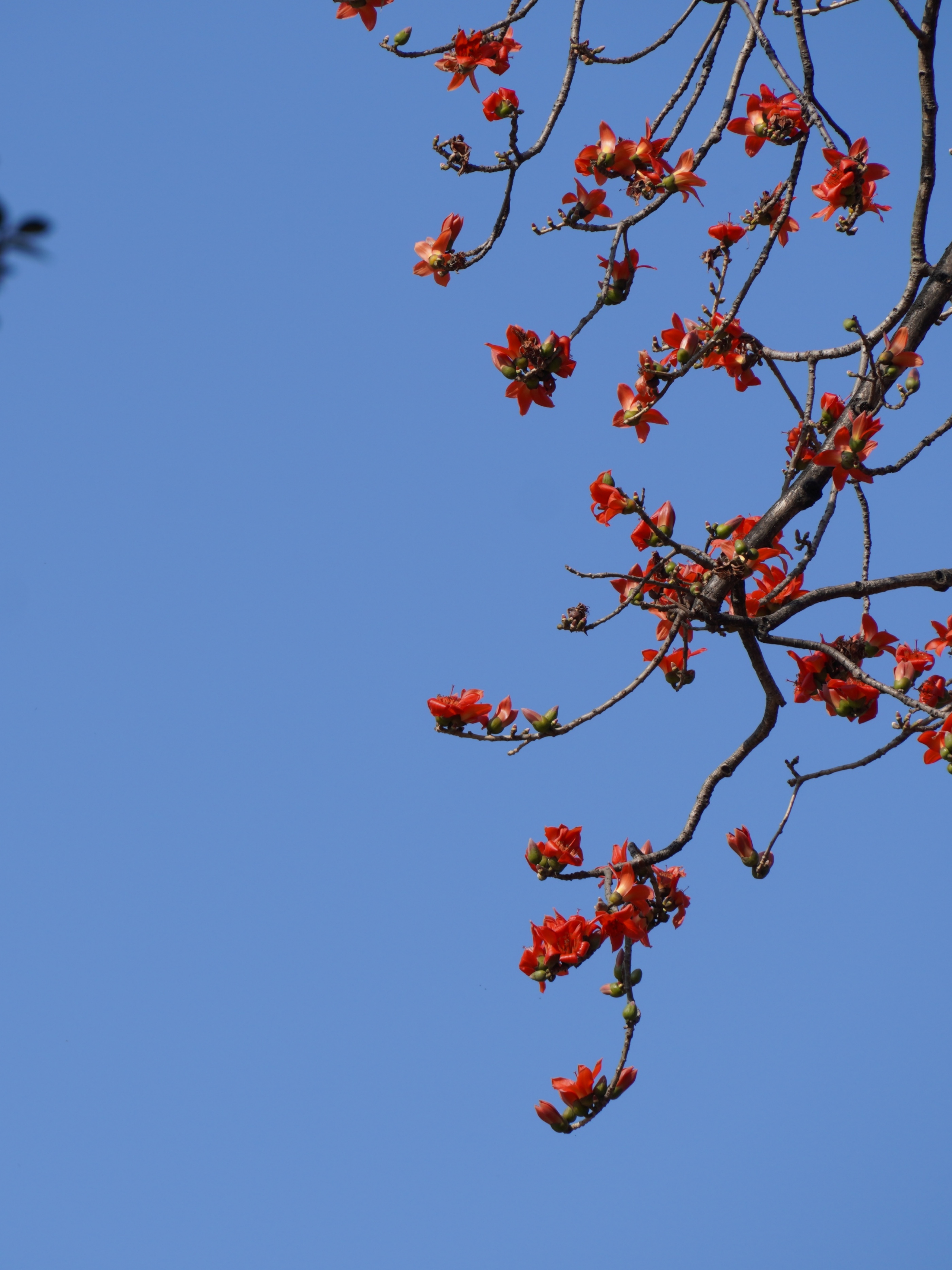 ���;�����ľ�޻���Լʢ�š�ʵϰ�� ��������