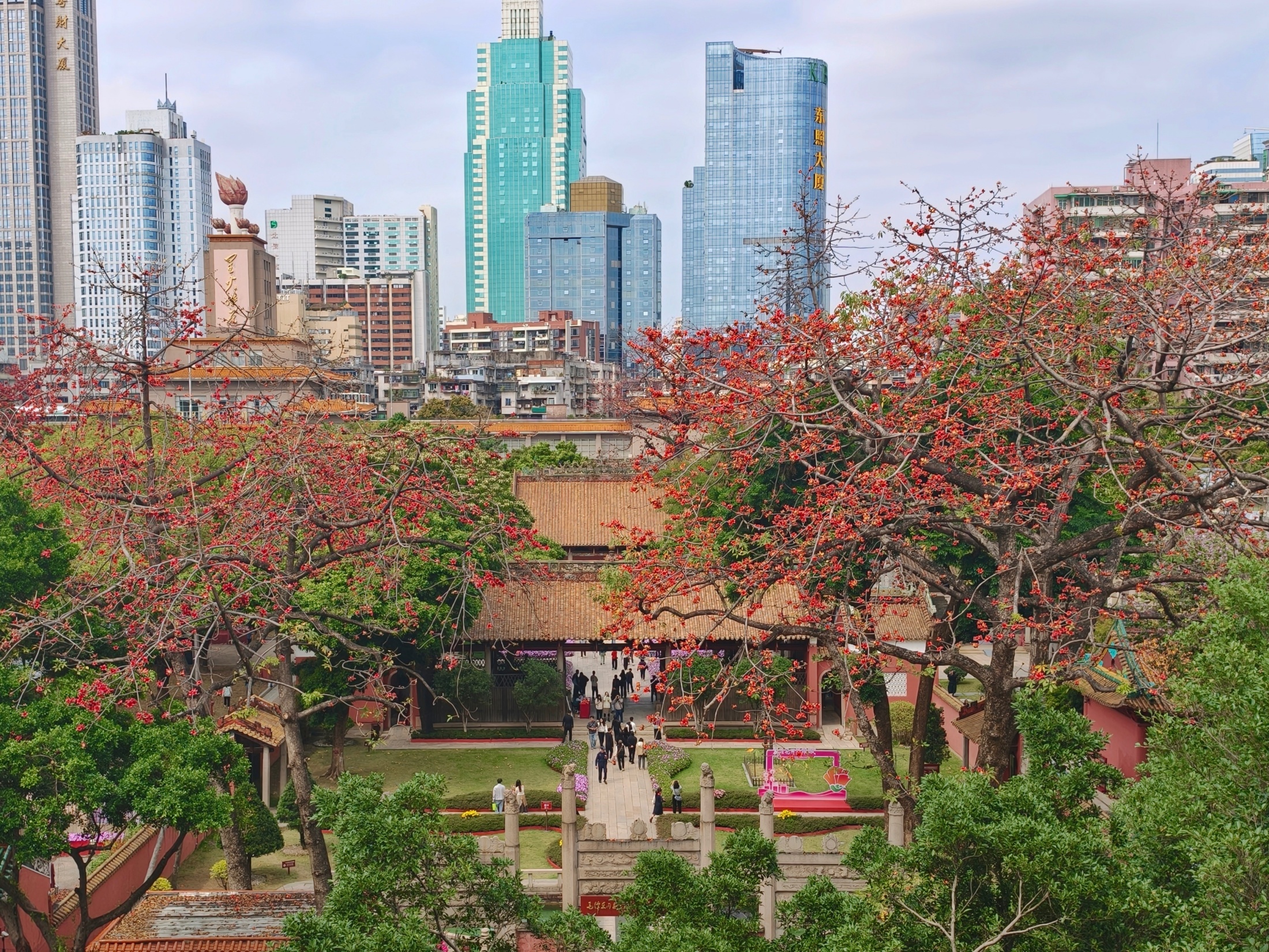 3�¹��ݣ�ľ�޻������Ǻ죬ͼΪũ�����������ľ�޻�ʢ�š����������� ���ŵ���