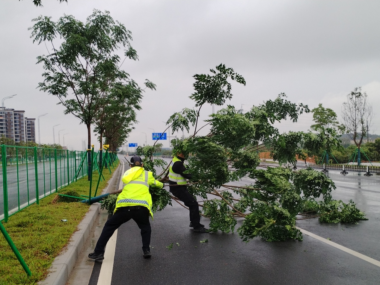 3月30日,强对流天气致广东省广州市多处树木倒伏,民警到场处置。广州市公安局供图