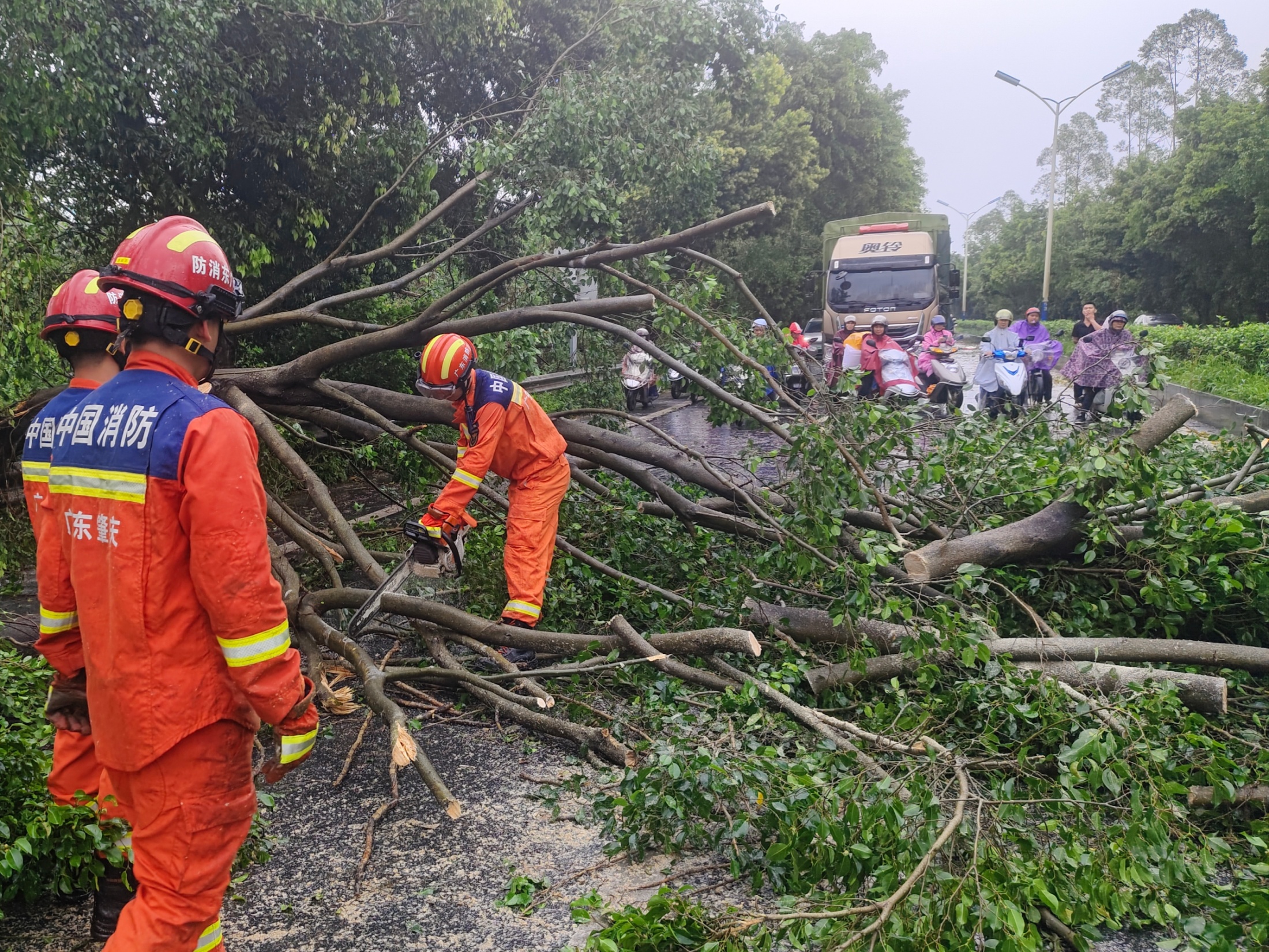 3月30日,强对流天气致广东省肇庆市多处树木倒伏,消防救援人员到场处置。肇庆市消防救援支队供图