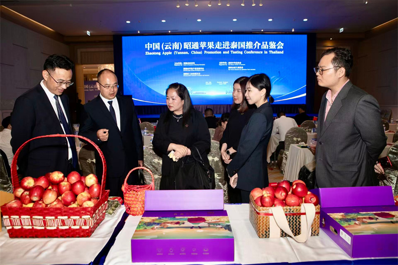 �α��ֳ�Ʒ����Ʒ������췽��ͼ
