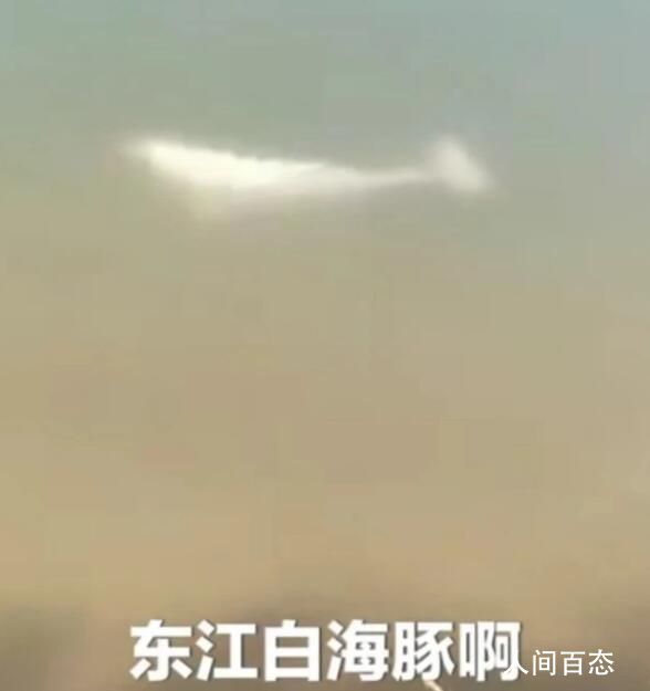 л׺·붫 ԼԼ150